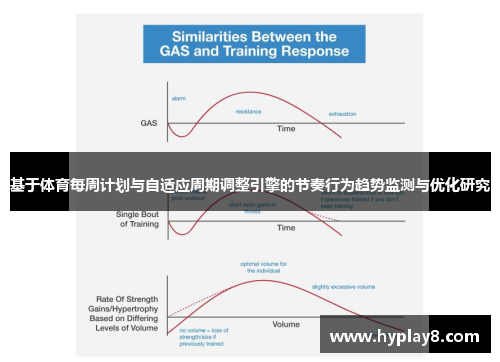 基于体育每周计划与自适应周期调整引擎的节奏行为趋势监测与优化研究