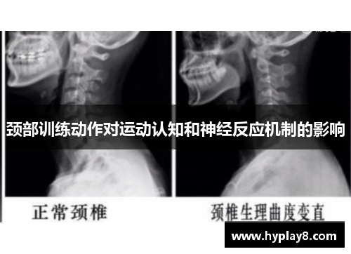 颈部训练动作对运动认知和神经反应机制的影响